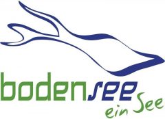 Leben am Teich